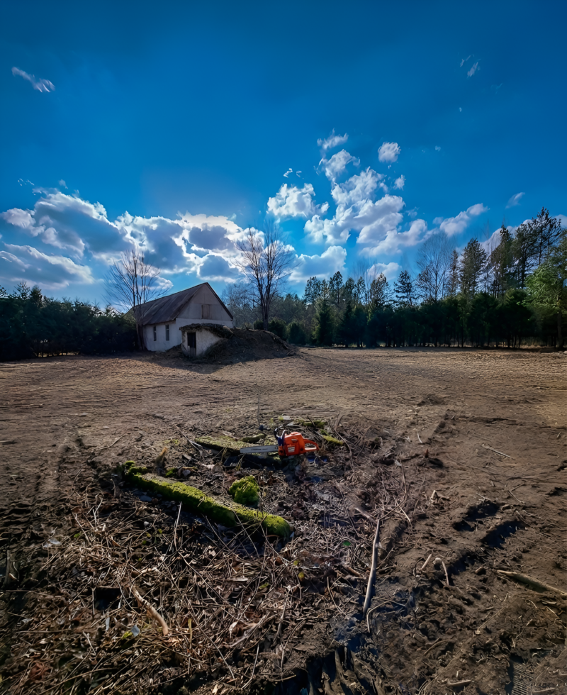 Apleistų sklypų tvarkymas.